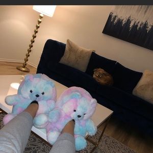 Teddy Bear Slippers